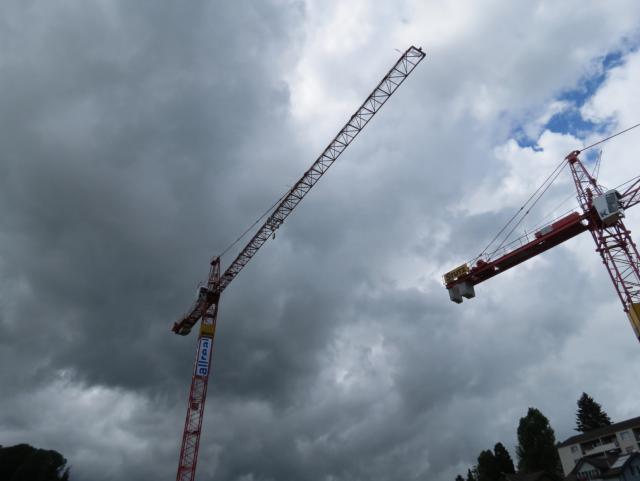 Liebherr_Wolf_Glotten_SG_und_Schachen_137_1.JPG