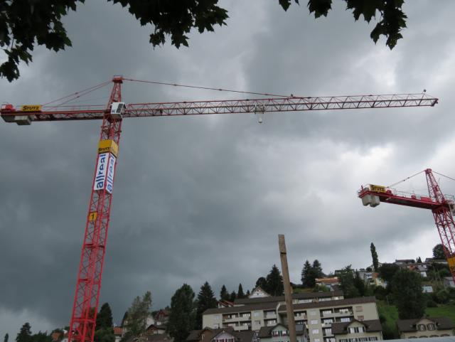 Liebherr_Wolf_Glotten_SG_und_Schachen_160_1.JPG