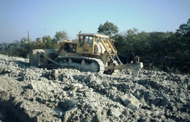 CAT002.jpg