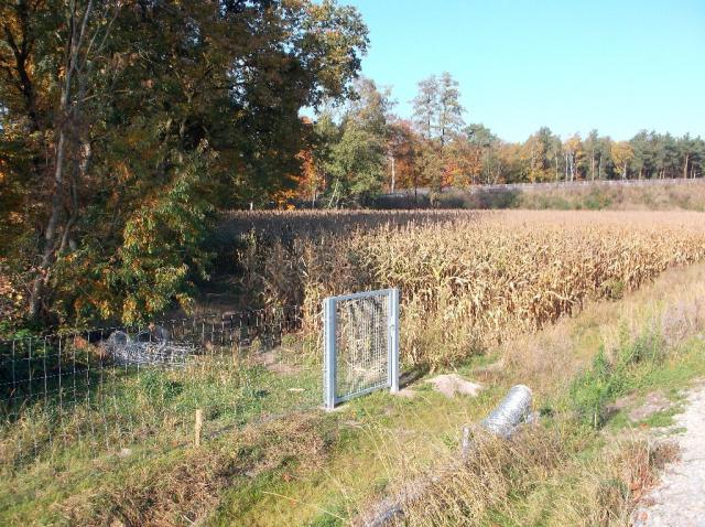 2012/10/post-16228-1350829062_thumb.jpg