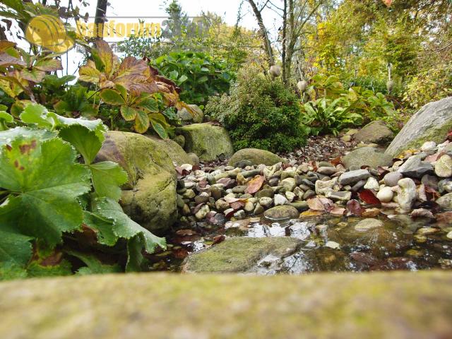 GartenReise_IndianSummer_NRW_57.JPG