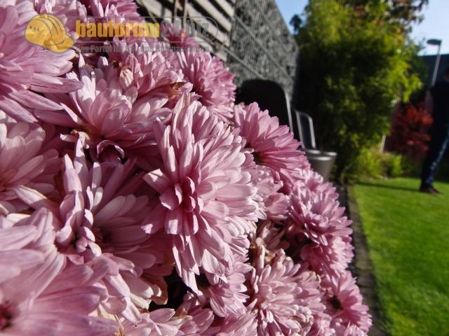 GartenReise_IndianSummer_NRW_84.JPG