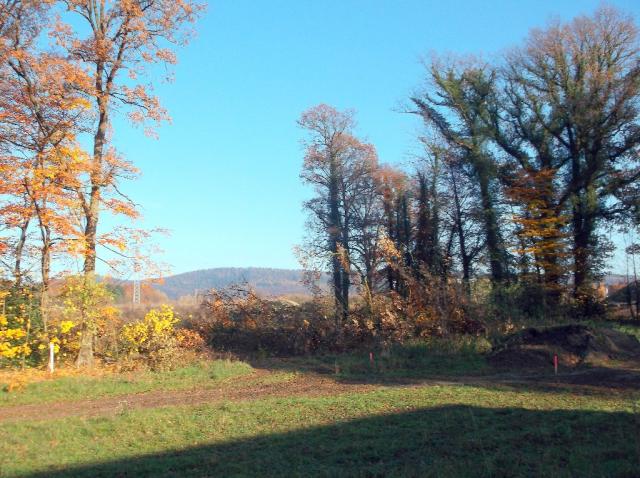 2012/11/post-16228-1353166697_thumb.jpg