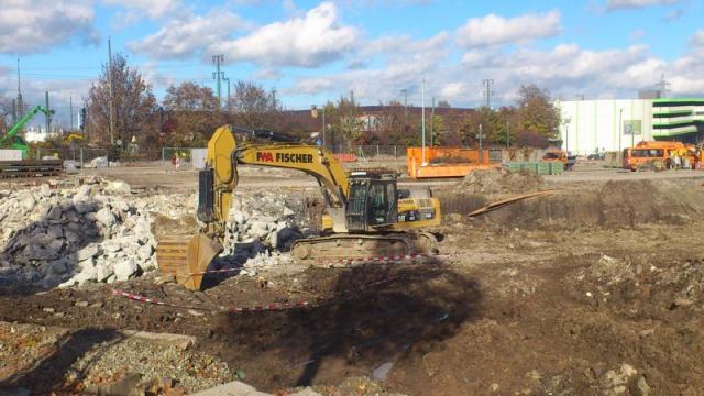 cat_336d.jpg