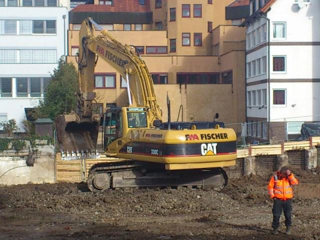 cat_330c_1.jpg