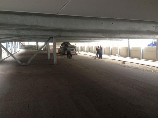 olli_iphone_11.11.11_067.jpg