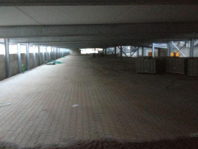 olli_iphone_11.11.11_072.jpg