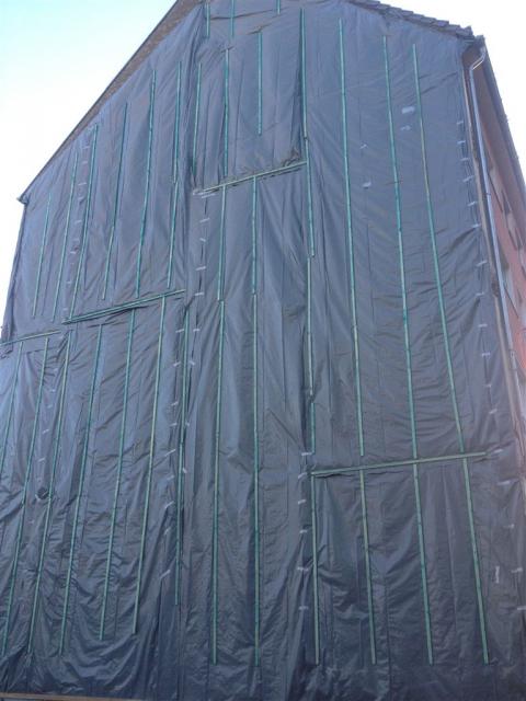 olli_iphone_1.12.12_082.jpg