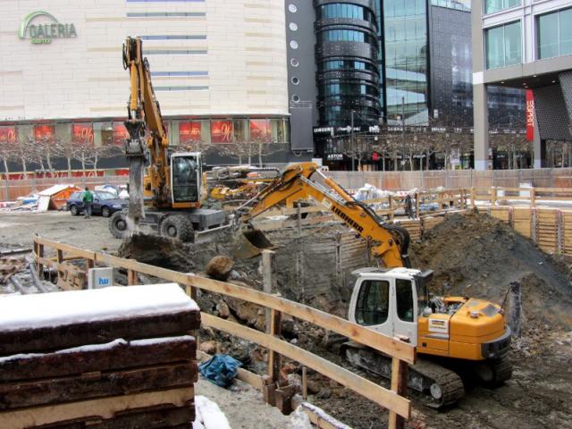 25.01.2013_075.JPG