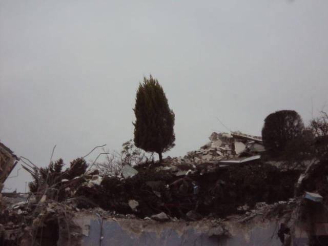 DSC02432.JPG