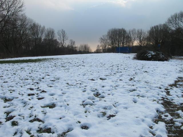 IMG_2317.JPG