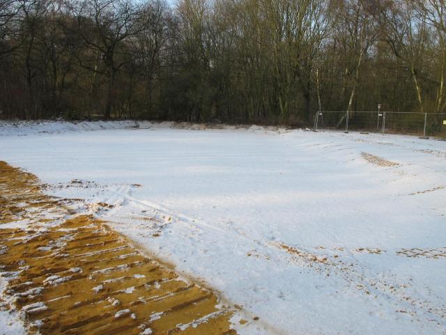 IMG_2510.JPG