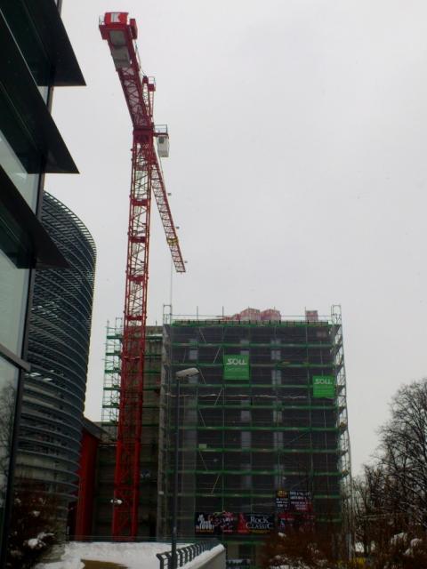 DSC_0717.jpg