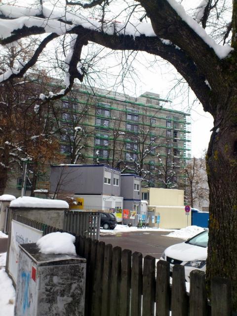 DSC_0722.jpg