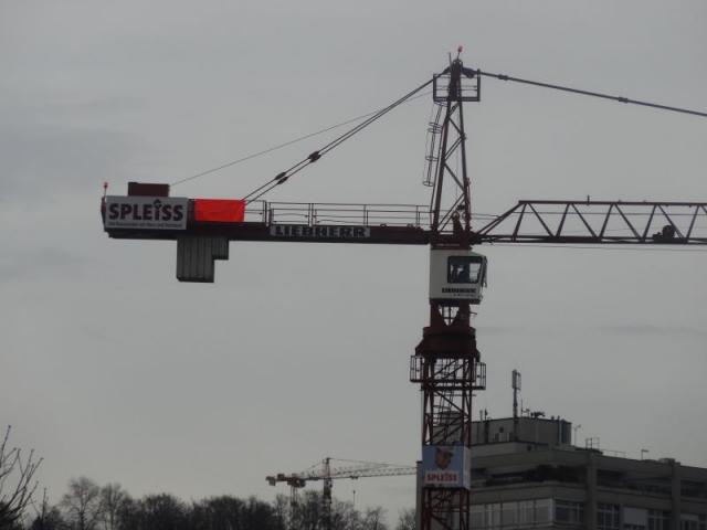 sms_059.jpg