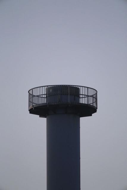 IMG_1539.jpg