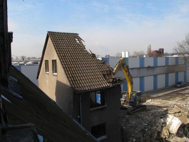 IMG_2950.JPG