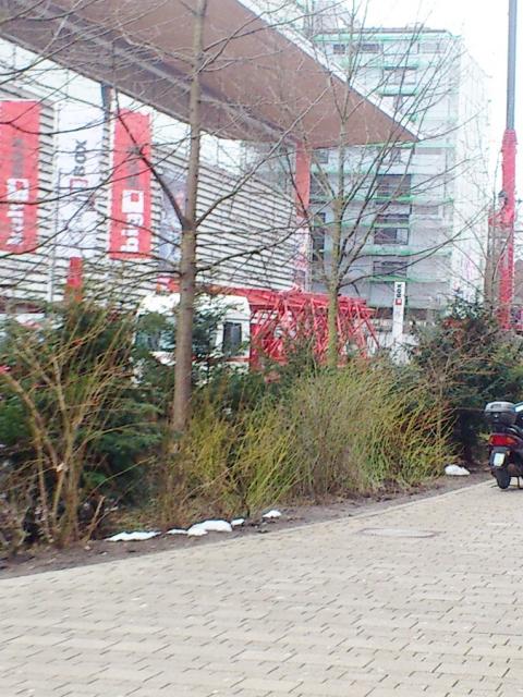 DSC_0938.jpg