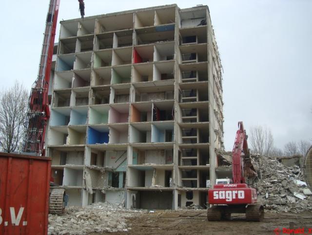 DSC05189_border.jpg