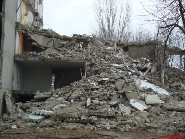 DSC05209_border.jpg