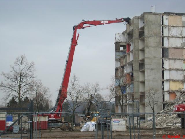 DSC05483_border.jpg