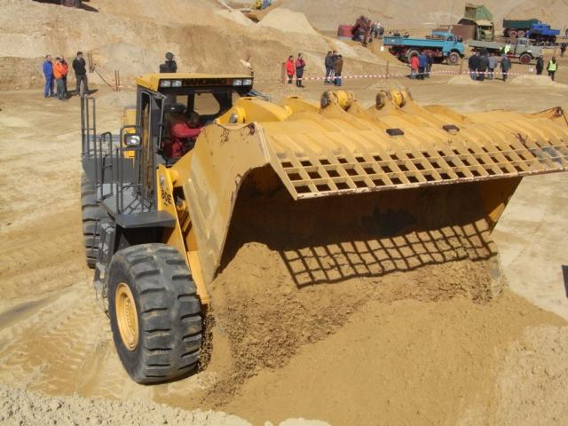 RIMG0991.jpg