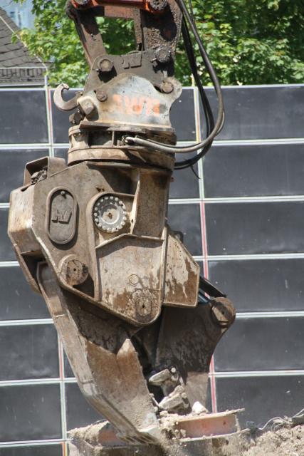 bstbock2_020.jpg