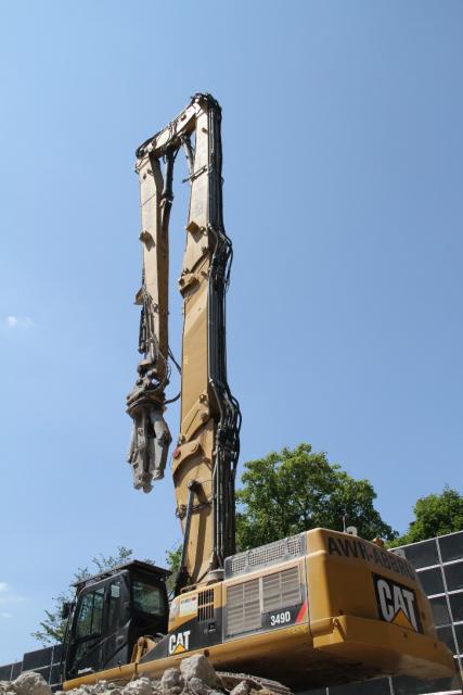 bstbock2_146.jpg