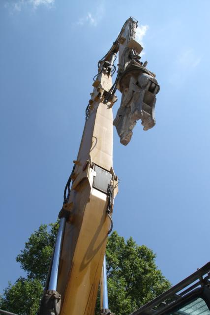 bstbock2_151.jpg