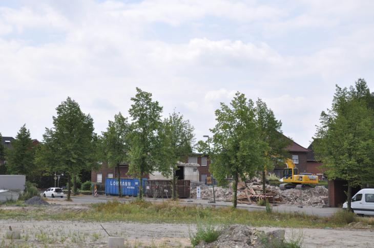 Abbruch_Loh_519.JPG