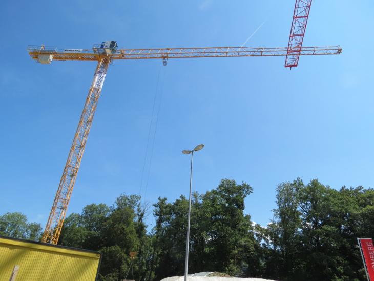 Kranen_und_Ferien_081_1.JPG