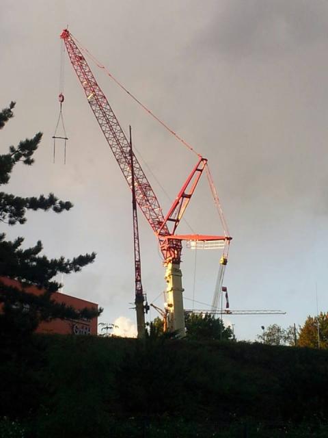 1209164_339520309517071_598507806_n.jpg