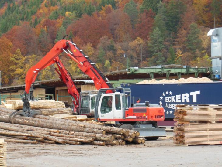 Donauesch_Strobel_030.JPG