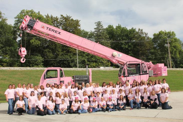 Pink_Crane_1.jpg