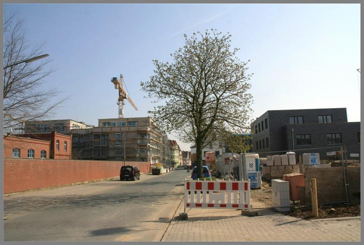 _Zentrum_Mitte_West_30._M_rz_2014__14_.jpg