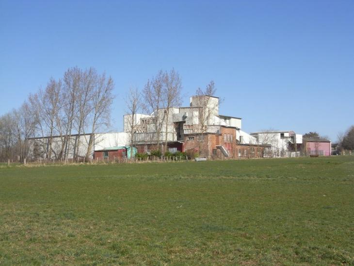 RIMG3761.jpg