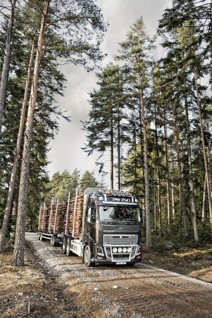 Volvo_FH16_6.jpg