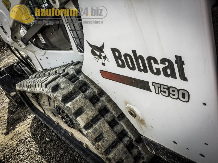bobcat_29.jpg