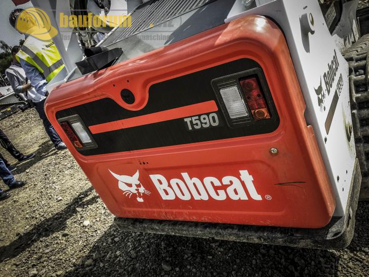 bobcat_30.jpg