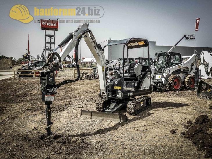 bobcat_31.jpg