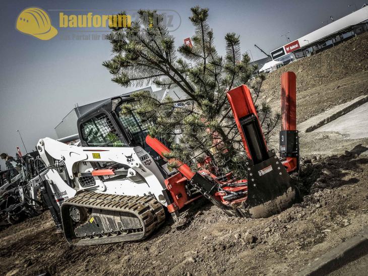 bobcat_33.jpg