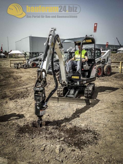 bobcat_34.jpg