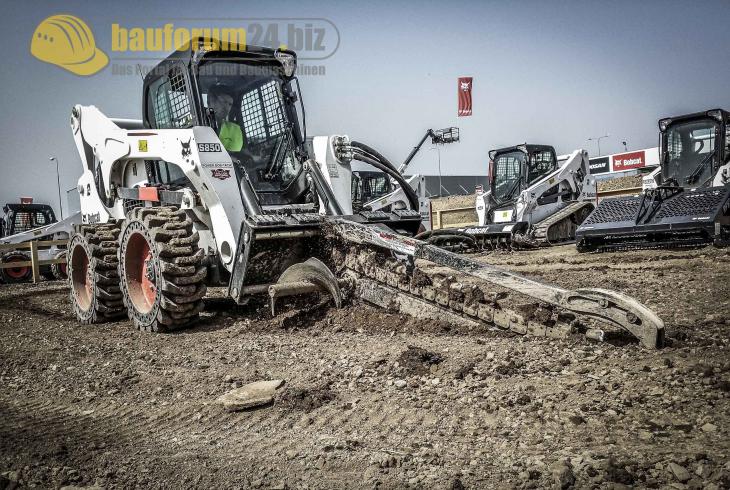 bobcat_36.jpg
