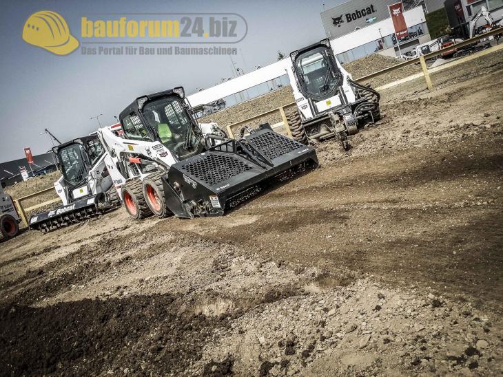 bobcat_37.jpg