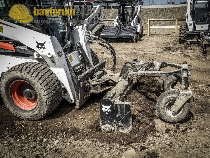 bobcat_38.jpg