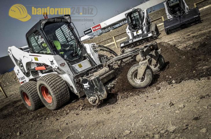 bobcat_39.jpg