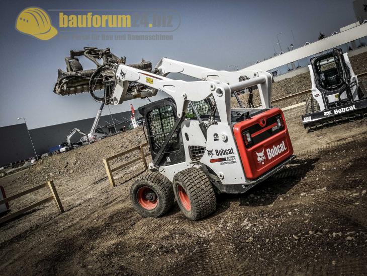 bobcat_40.jpg