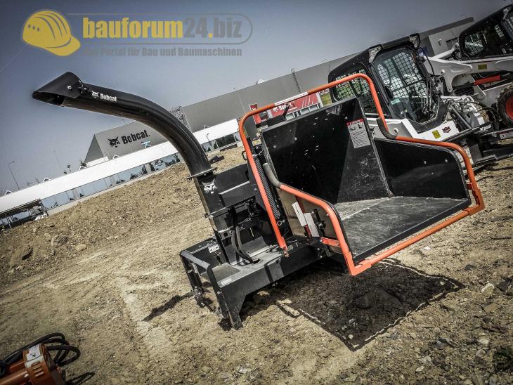 bobcat_43.jpg
