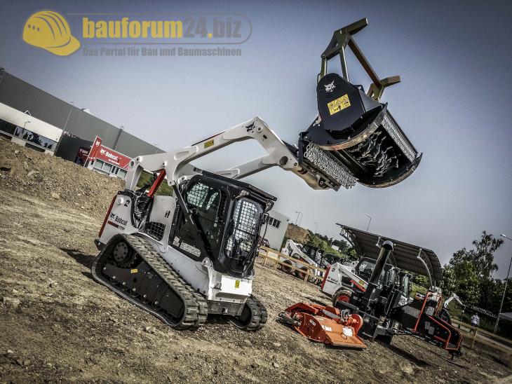bobcat_44.jpg