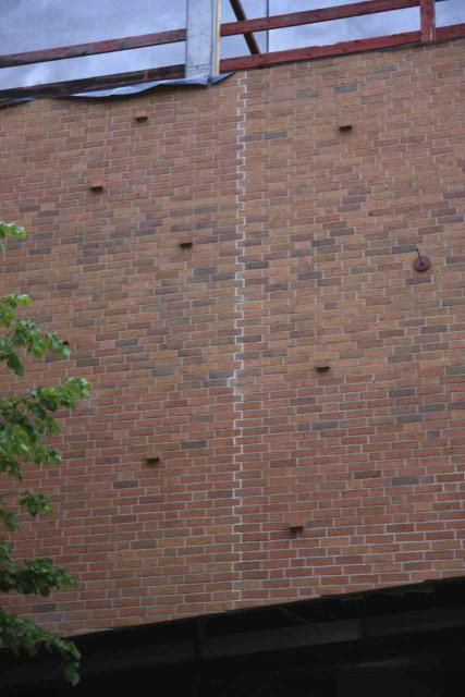 IMG_2120.jpg